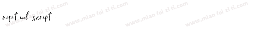nipitial script字体转换